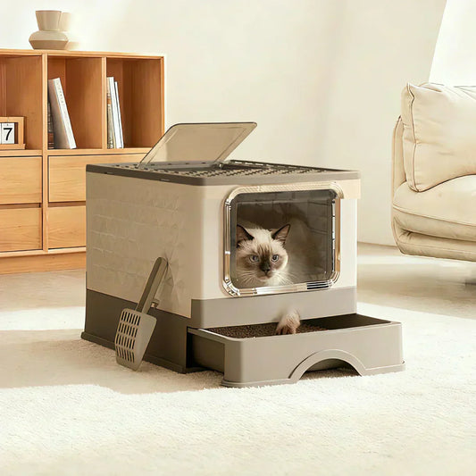 Best Top Entry Litter Box for Large Cats (2026 Buyer’s Guide)