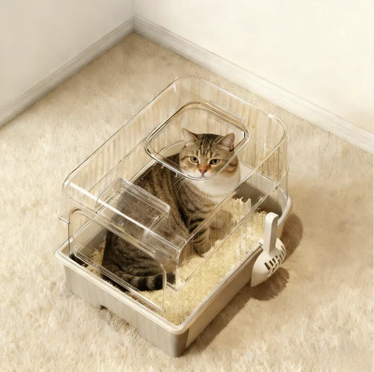Large Cat Comfort & Safety with Top Entry Litter Boxes (2026 Guide)