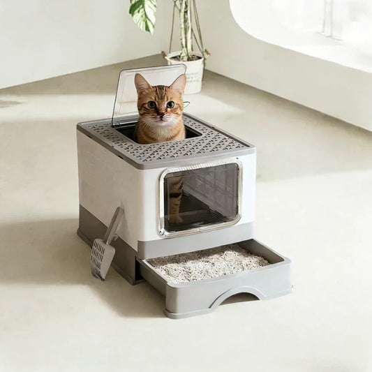 Best Litter Box for Apartments with Large Cats (Low Tracking & Easy Cleaning)