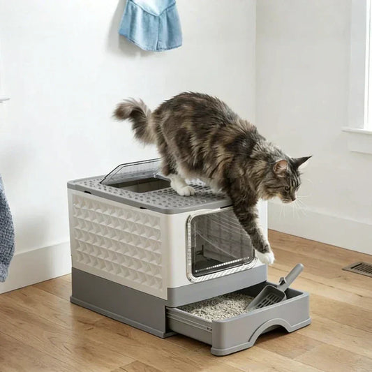 Sick of the "Crunch"? Why Your Cat Tracks Litter Everywhere (and How to Stop It)