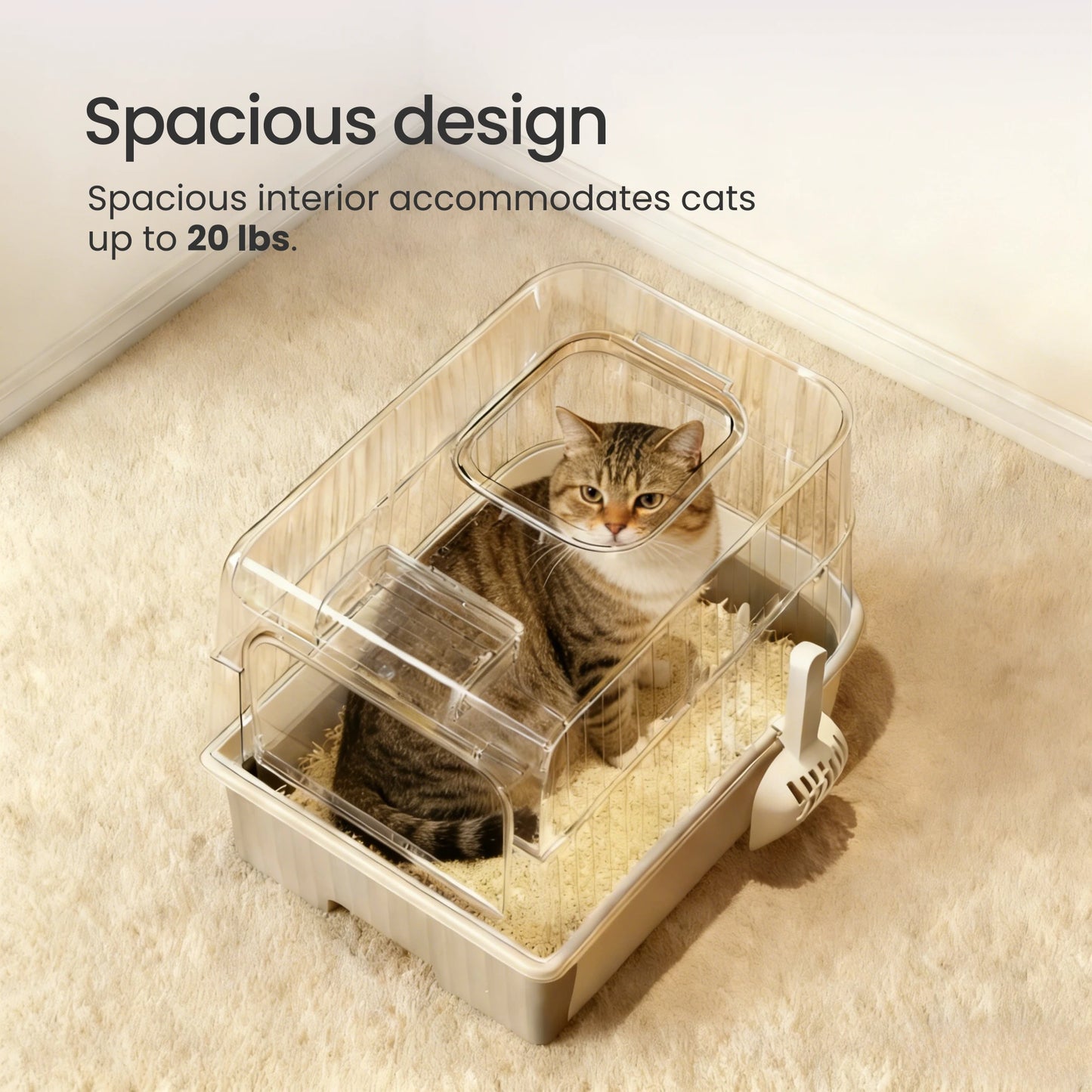 Extra-large top entry litter box spacious enough for large cats up to 20 pounds